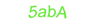 عبارت امنیتی
