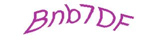 عبارت امنیتی