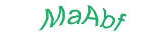 عبارت امنیتی