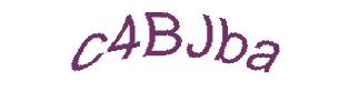 عبارت امنیتی