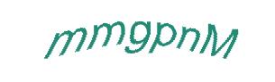 عبارت امنیتی