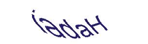 عبارت امنیتی