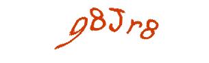 عبارت امنیتی