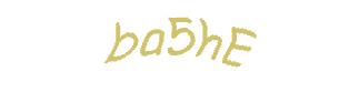 عبارت امنیتی