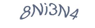 عبارت امنیتی