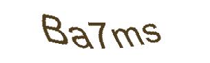 عبارت امنیتی