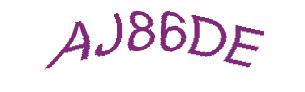 عبارت امنیتی