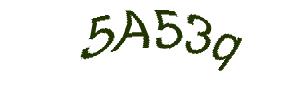 عبارت امنیتی