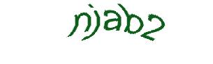 عبارت امنیتی