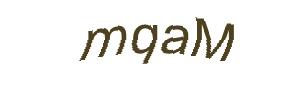 عبارت امنیتی