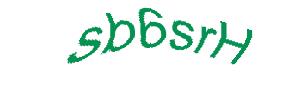 عبارت امنیتی