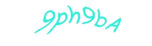 عبارت امنیتی
