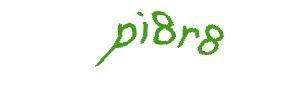 عبارت امنیتی