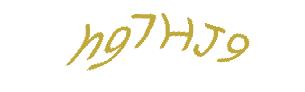 عبارت امنیتی