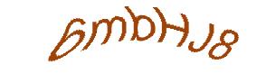 عبارت امنیتی