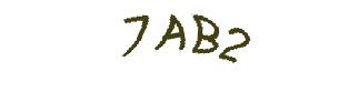 عبارت امنیتی