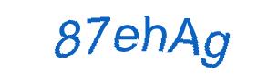 عبارت امنیتی