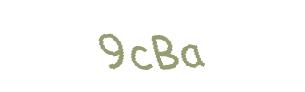 عبارت امنیتی