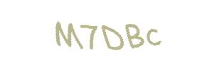 عبارت امنیتی