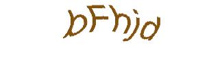 عبارت امنیتی