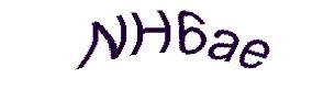 عبارت امنیتی
