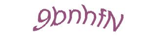 عبارت امنیتی