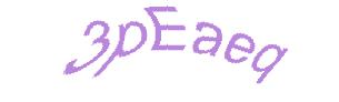 عبارت امنیتی