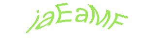 عبارت امنیتی