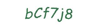 عبارت امنیتی