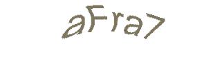 عبارت امنیتی