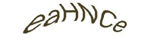 عبارت امنیتی
