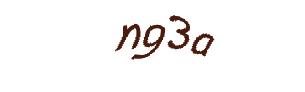 عبارت امنیتی