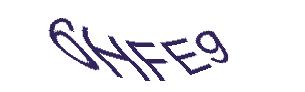 عبارت امنیتی