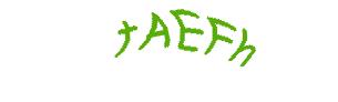 عبارت امنیتی