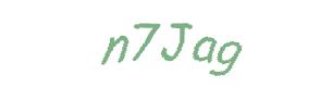 عبارت امنیتی