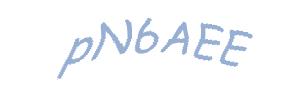 عبارت امنیتی