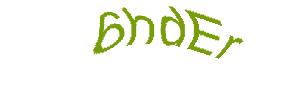 عبارت امنیتی