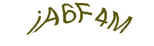عبارت امنیتی