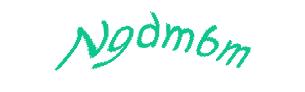 عبارت امنیتی