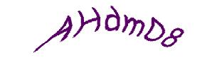 عبارت امنیتی