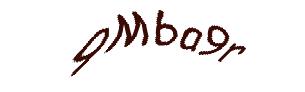 عبارت امنیتی