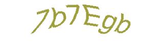 عبارت امنیتی