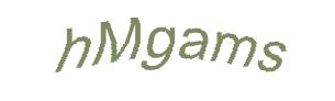 عبارت امنیتی