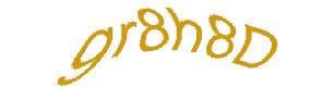 عبارت امنیتی