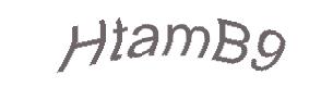 عبارت امنیتی
