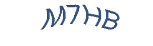 عبارت امنیتی
