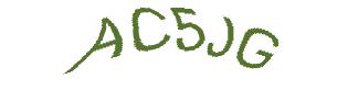 عبارت امنیتی