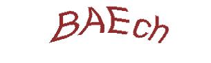عبارت امنیتی