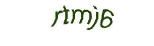 عبارت امنیتی