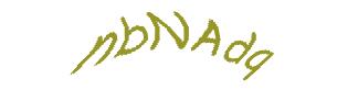 عبارت امنیتی